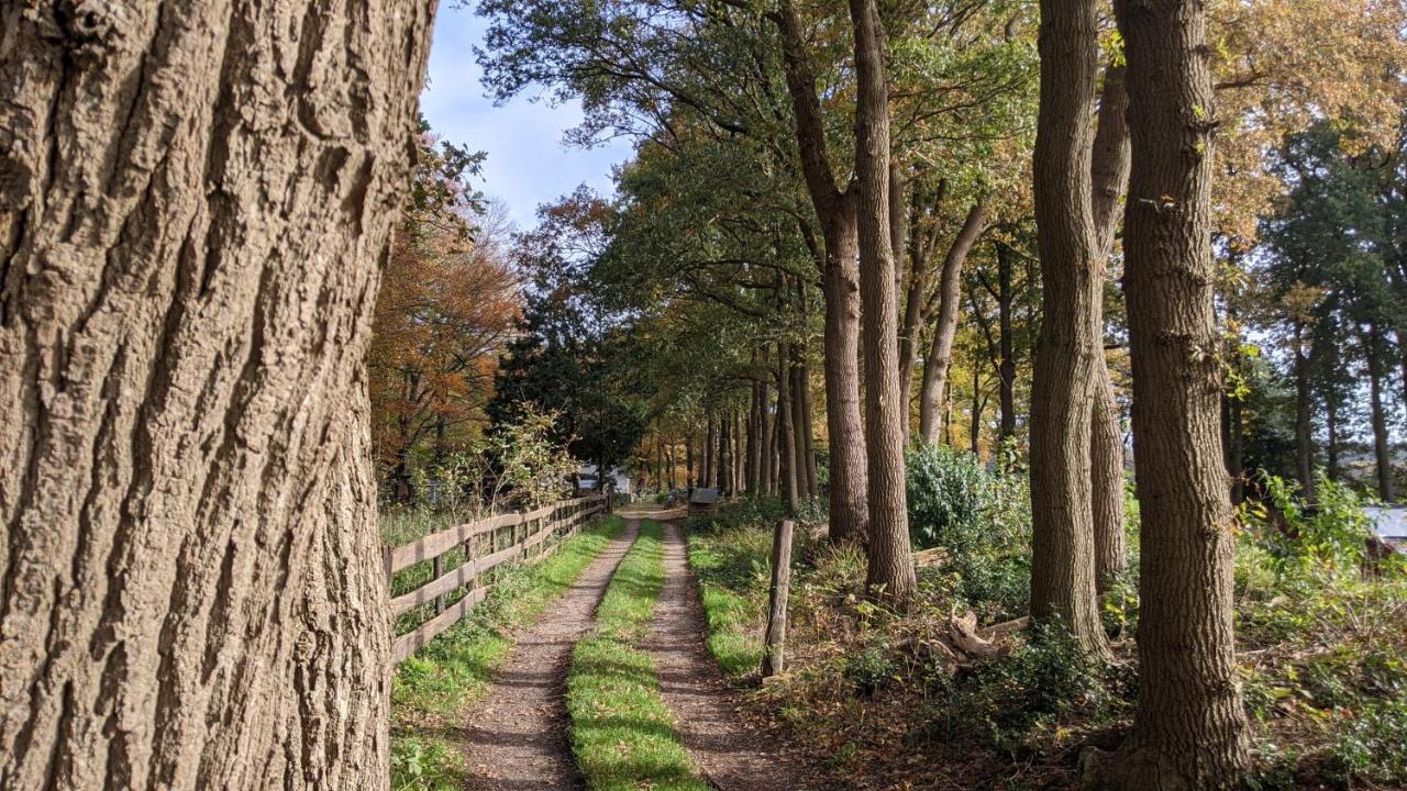 Chalet Op De Veluwe # Berk Putten Exteriér fotografie