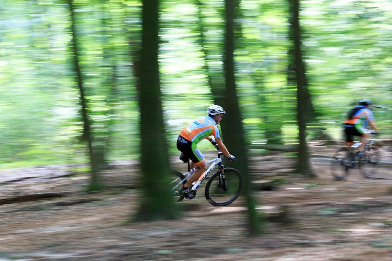 Chalet Op De Veluwe # Berk Putten Exteriér fotografie