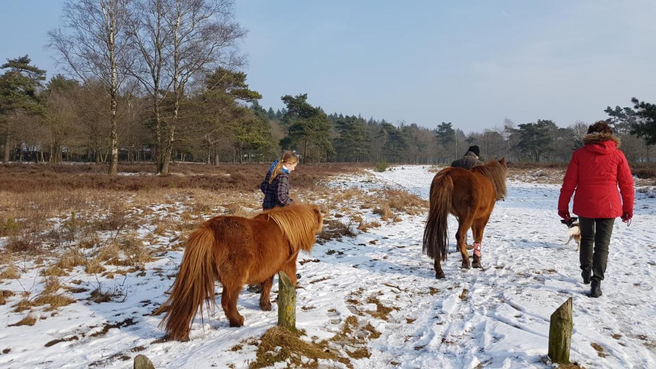 Chalet Op De Veluwe # Berk Putten Exteriér fotografie