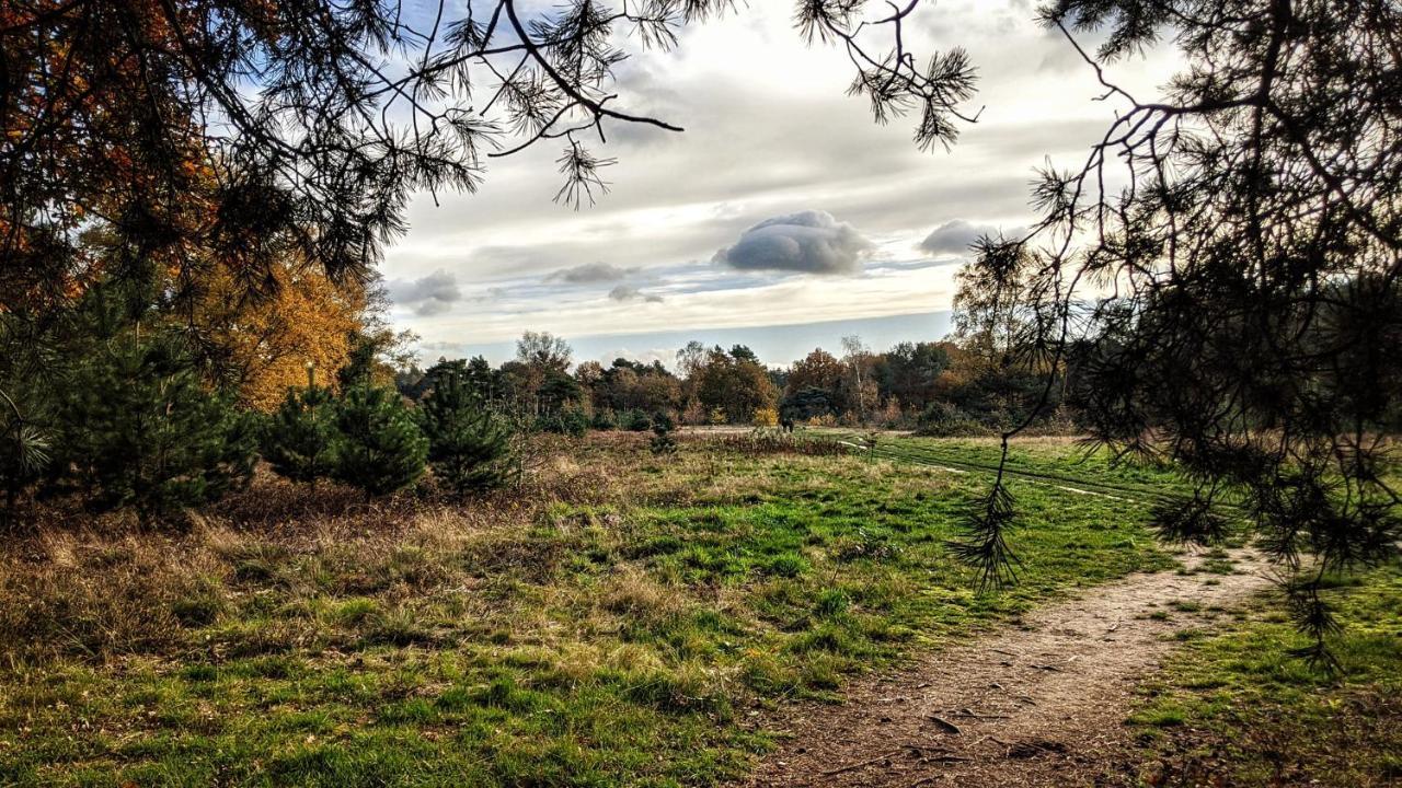 Chalet Op De Veluwe # Berk Putten Exteriér fotografie