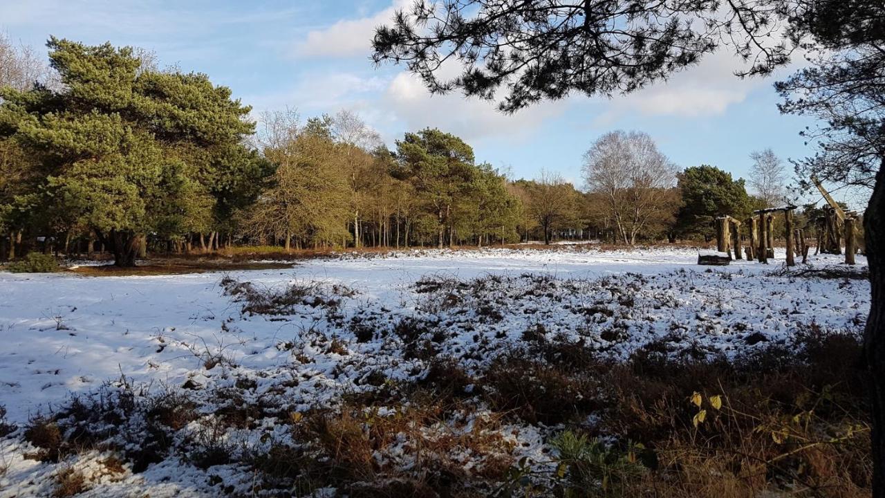 Chalet Op De Veluwe # Berk Putten Exteriér fotografie