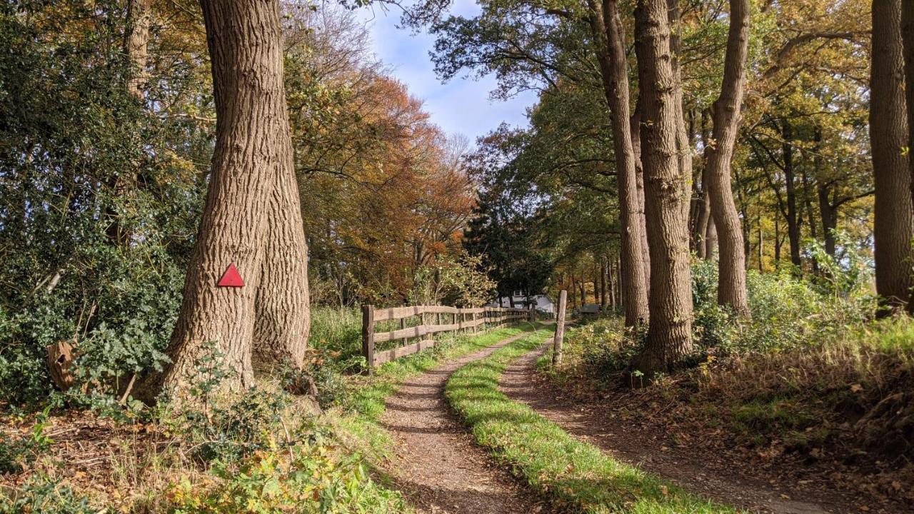 Chalet Op De Veluwe # Berk Putten Exteriér fotografie